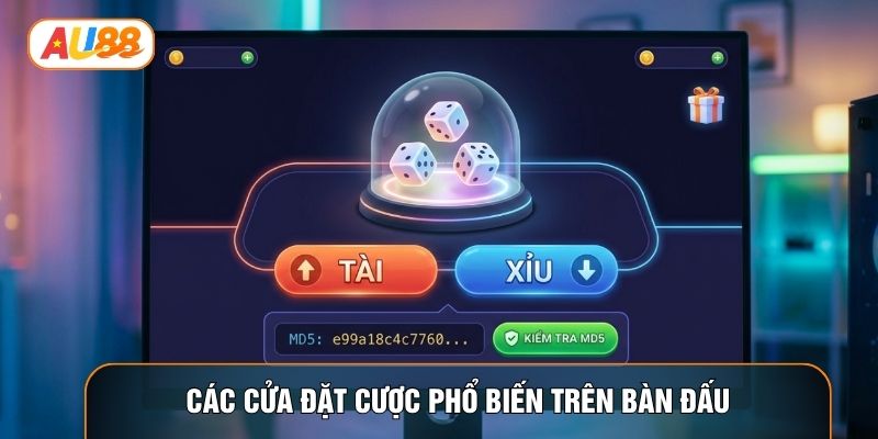 Các cửa đặt cược phổ biến trên bàn đấu
