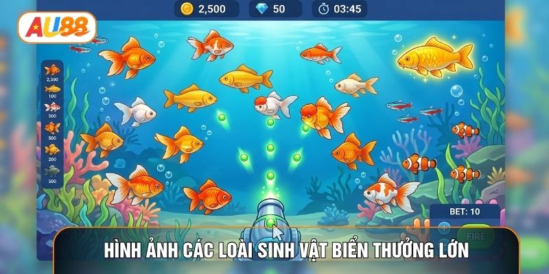 Hình ảnh các loài sinh vật biển thưởng lớn